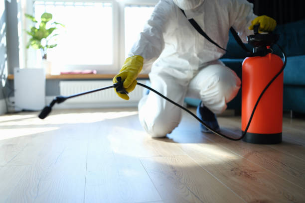 Reliable Blood Cleanup contractor in Weldon, CA by Dulley Family Biohazard Services
